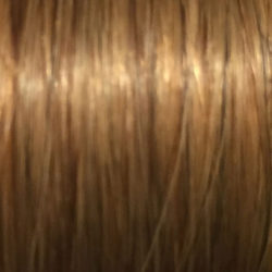 Hair Extension - Number 12