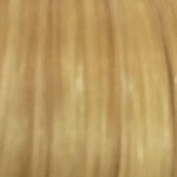 Hair Extension - Number 613