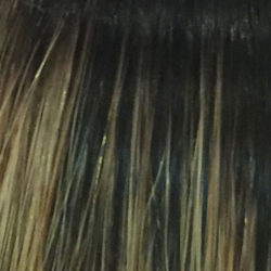 Hair Extension - Number T1/12