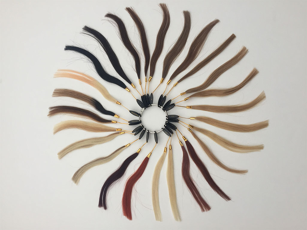 Hair Extension Shade Wheel