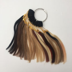 Hair Extensions Shade Wheel